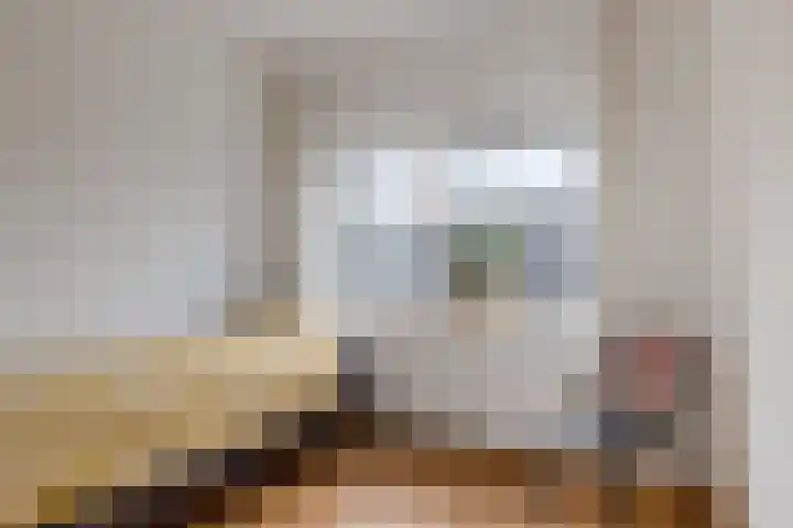 Koningsmantel 64 Assen thumbnail 26