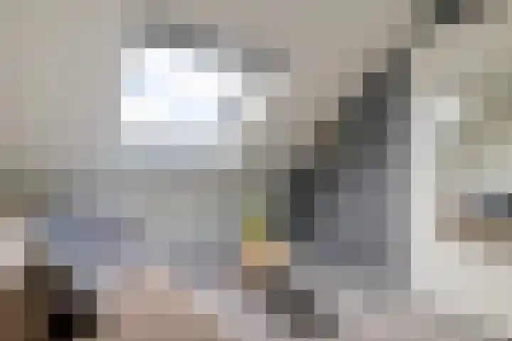 Koningsmantel 64 Assen thumbnail 33