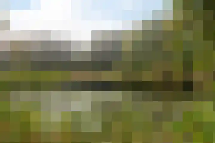 Koningsmantel 64 Assen thumbnail 43