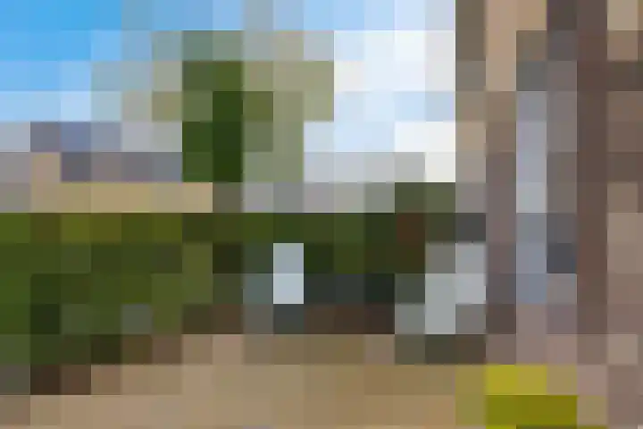 Koningsmantel 64 Assen thumbnail 5