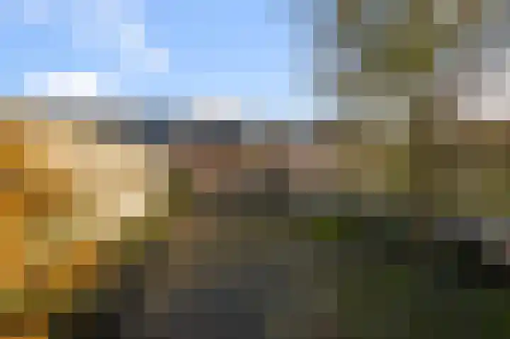 Koningsmantel 9 Alphen aan den Rijn thumbnail 20