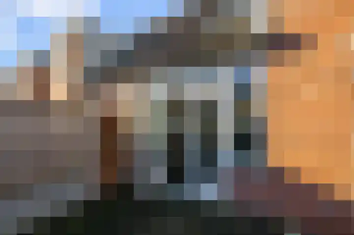 Koningsmantel 9 Alphen aan den Rijn thumbnail 21