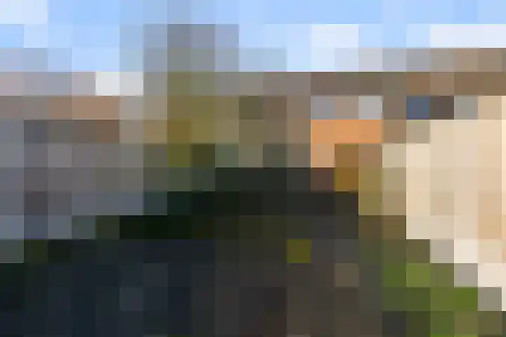 Koningsmantel 9 Alphen aan den Rijn thumbnail 5