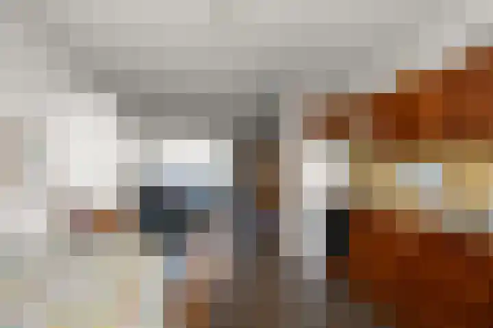 Koningsmantel 9 Alphen aan den Rijn thumbnail 8