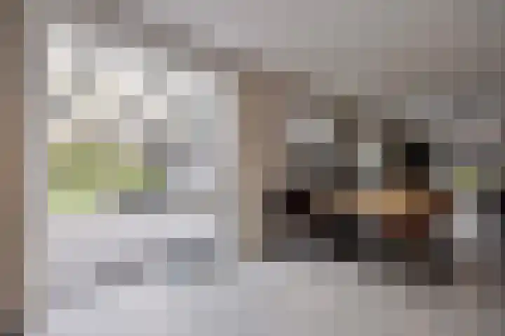 Koningsmantel 9 Assen thumbnail 10