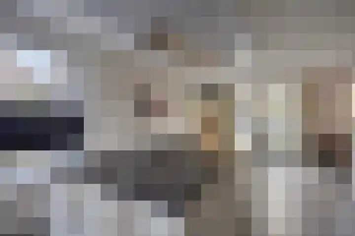 Koningsmantel 9 Assen thumbnail 13