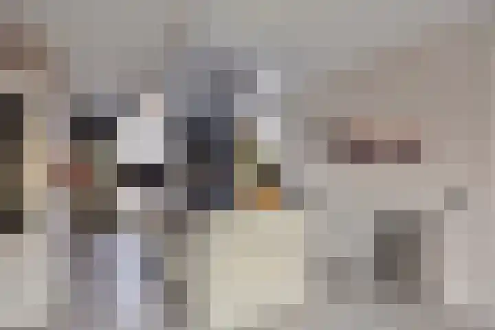 Koningsmantel 9 Assen thumbnail 15