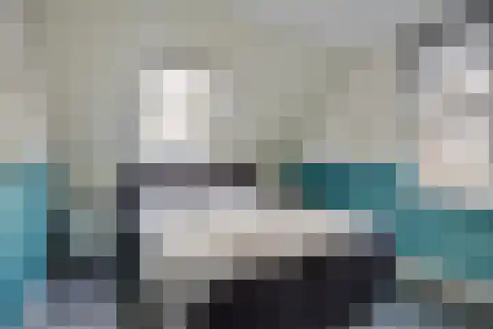 Koningsmantel 9 Assen thumbnail 19
