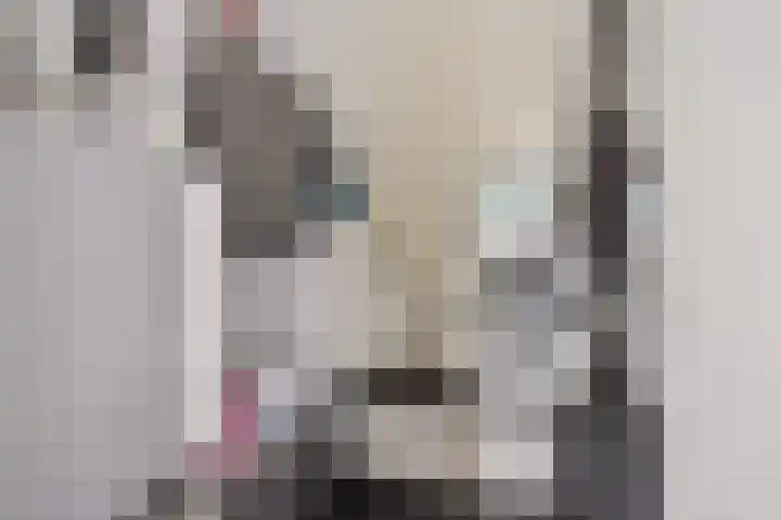 Koningsmantel 9 Assen thumbnail 26
