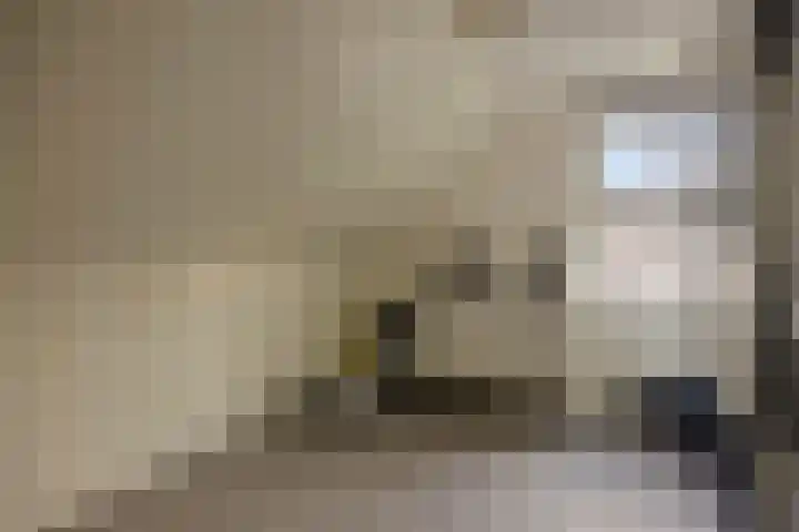 Koningsmantel 9 Assen thumbnail 27