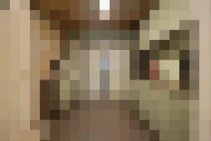 Koningsmantel 9 Assen thumbnail 28