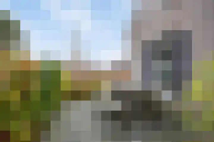 Koningsmantel 9 Assen thumbnail 31