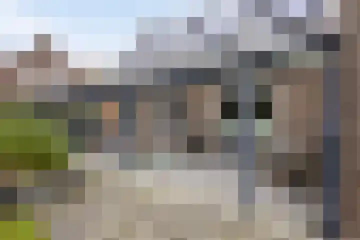 Koningsmantel 9 Assen thumbnail 33