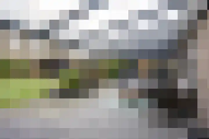 Koningsmantel 9 Assen thumbnail 34