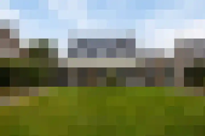 Koningsmantel 9 Assen thumbnail 37