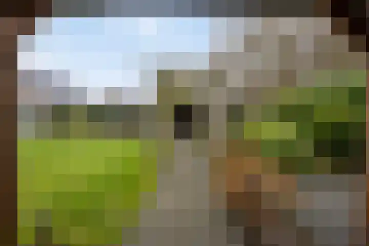 Koningsmantel 9 Assen thumbnail 38