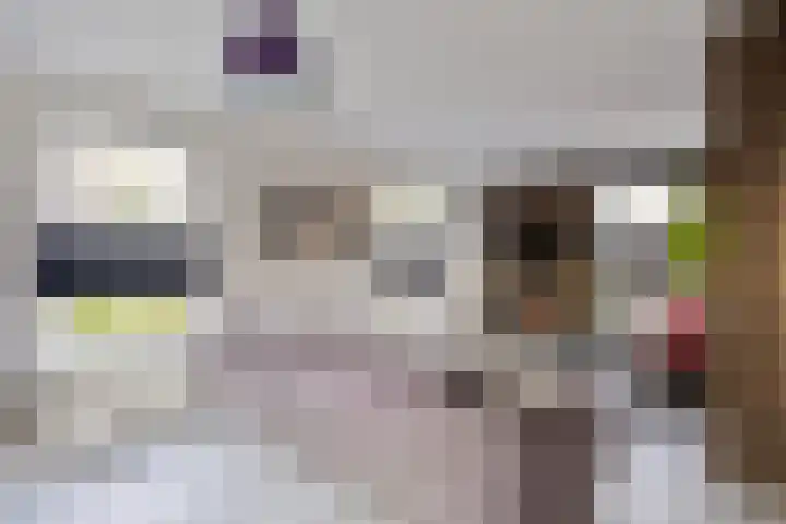 Koningsmantel 9 Assen thumbnail 4