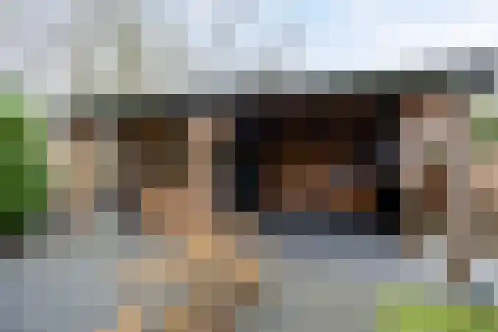 Koningsmantel 9 Assen thumbnail 40