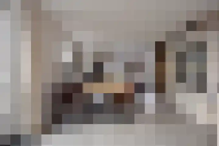 Koningsmantel 9 Assen thumbnail 8