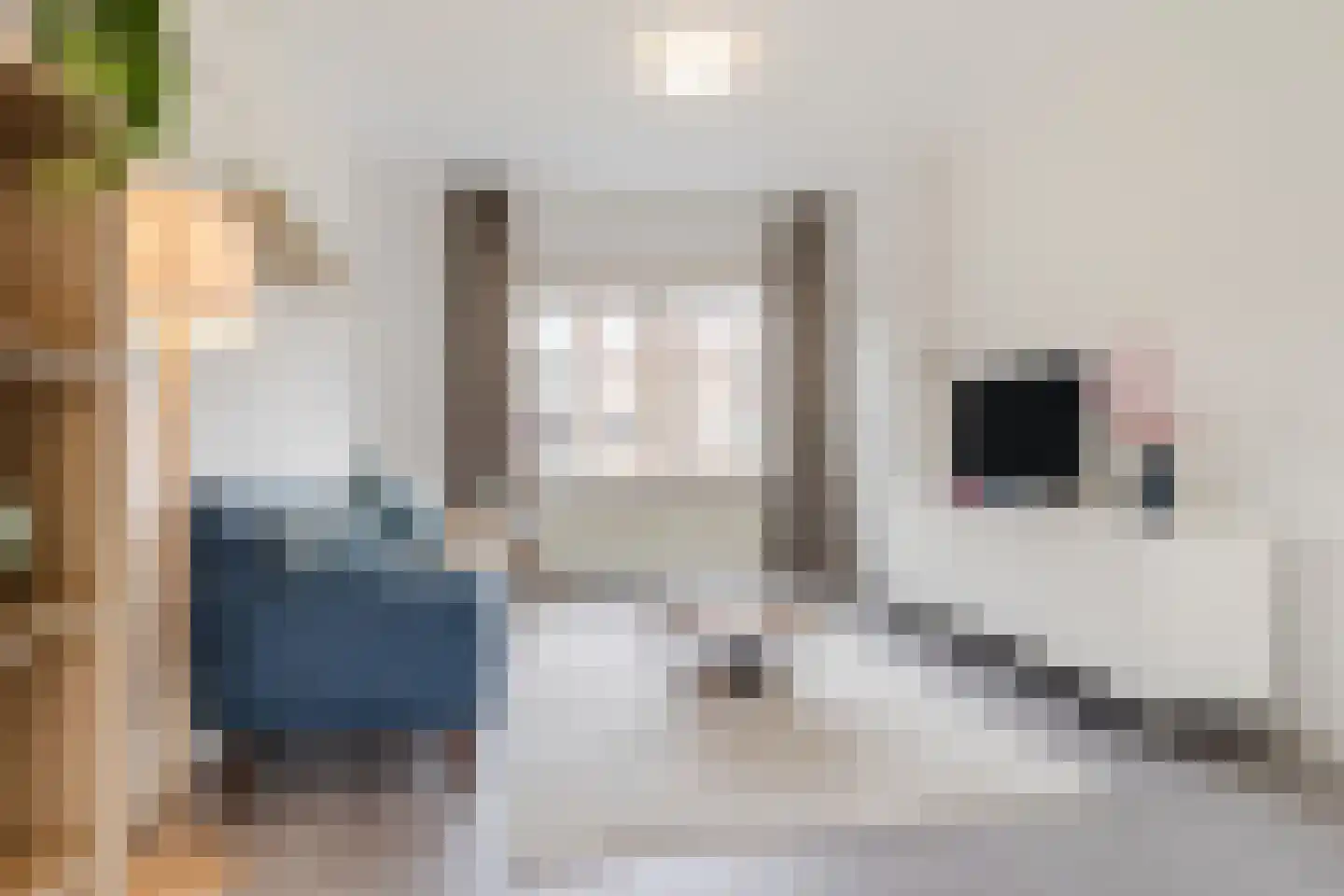 Koningsmantelhof 15 Nijmegen thumbnail 12