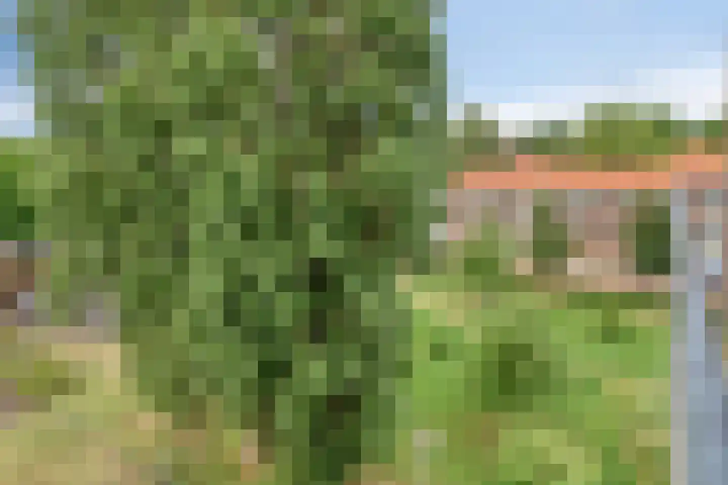 Koningsmantelhof 21 Nijmegen thumbnail 11