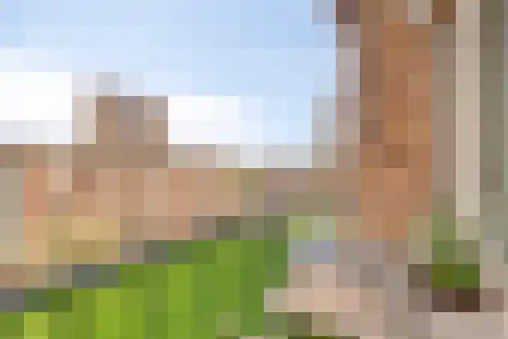 Koningsmantelhof 4 Nijmegen thumbnail 15