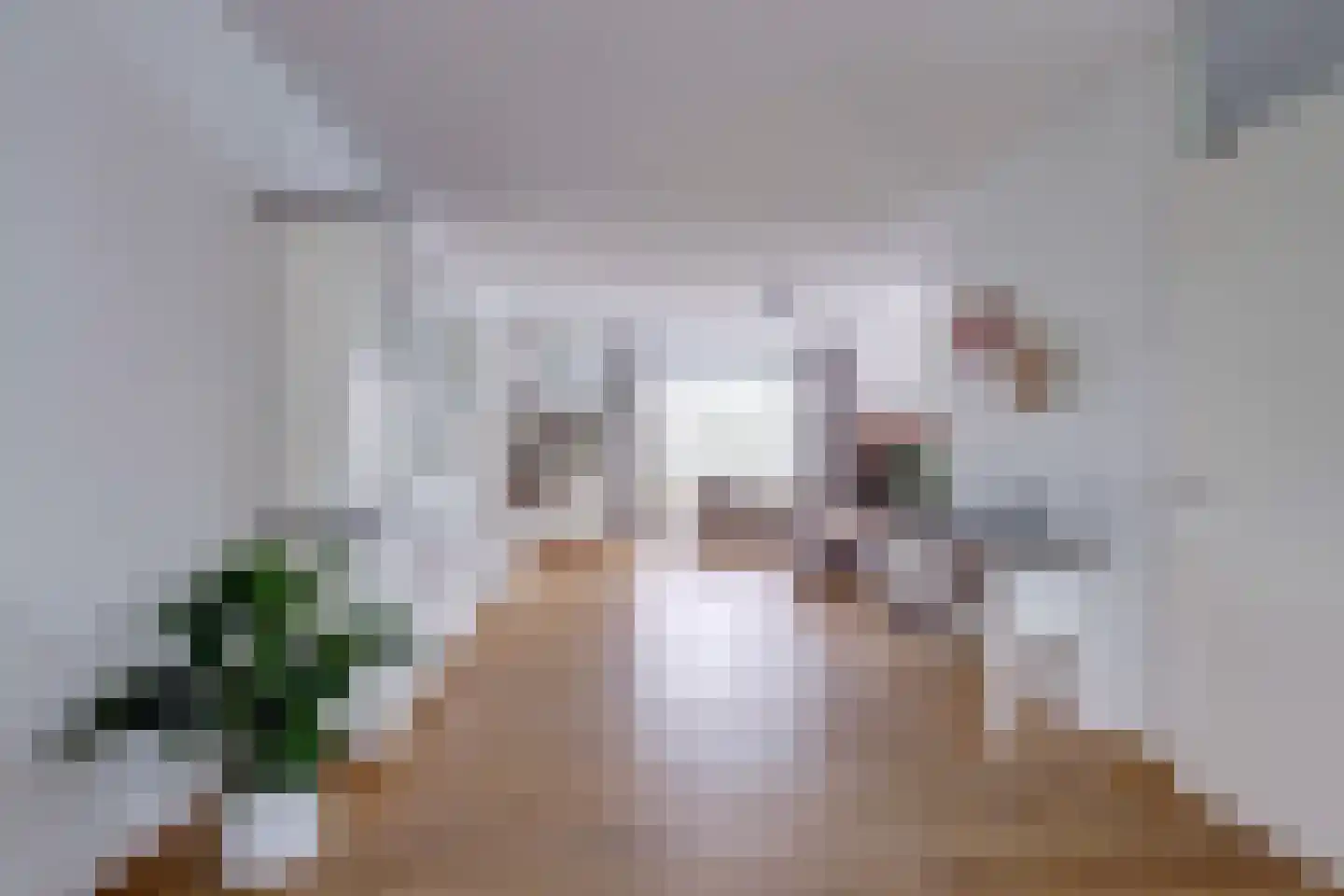 Koningsmantelstraat 44 Gouda thumbnail 4