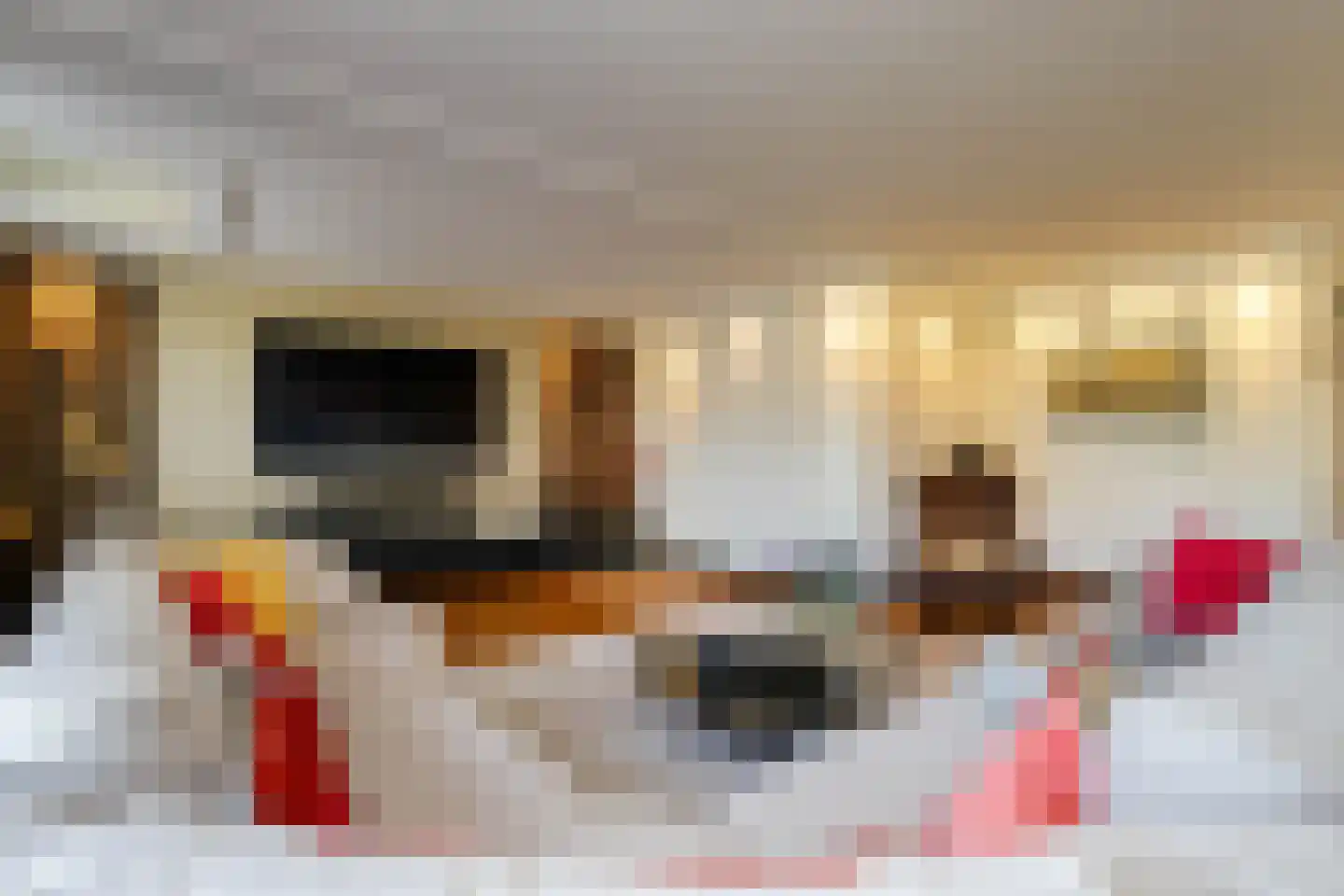 Koningsoever 3 Zevenhuizen thumbnail 11