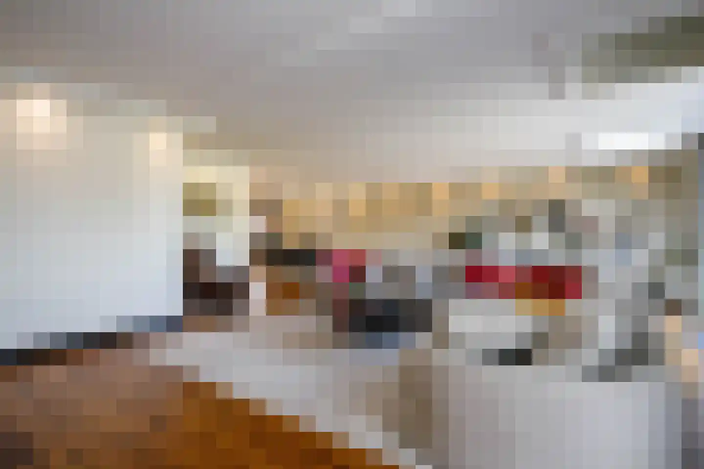 Koningsoever 3 Zevenhuizen thumbnail 12