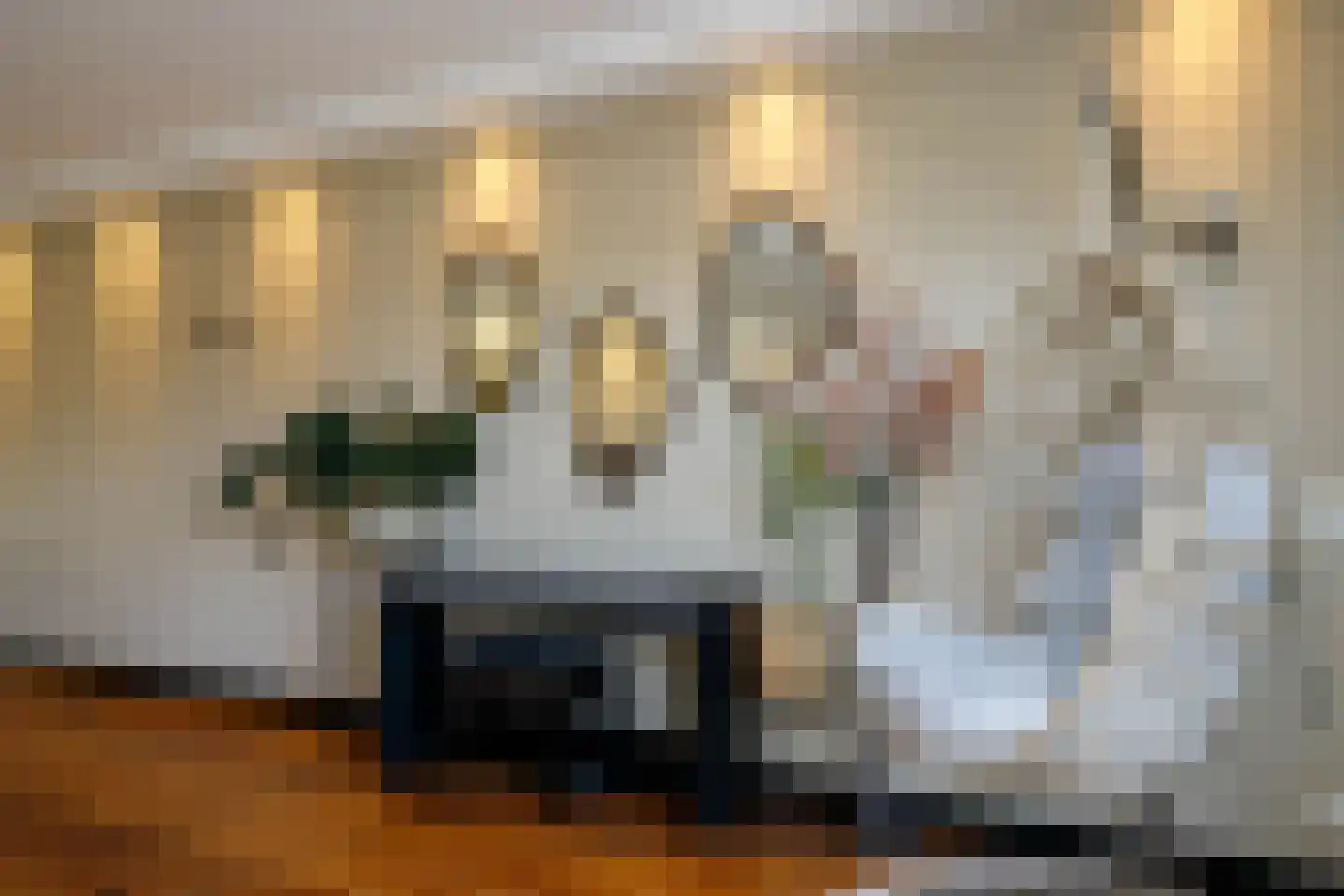 Koningsoever 3 Zevenhuizen thumbnail 15