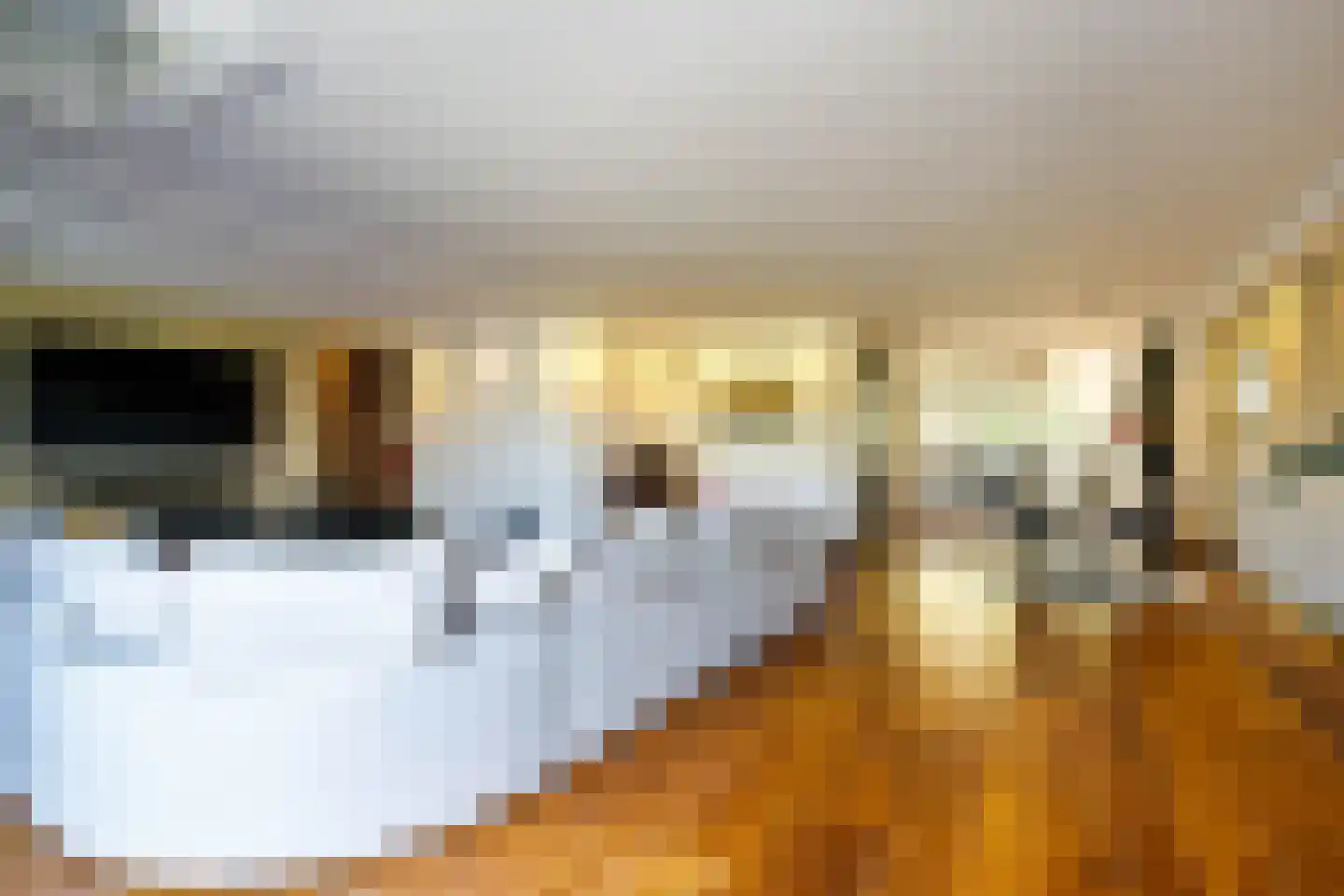 Koningsoever 3 Zevenhuizen thumbnail 17
