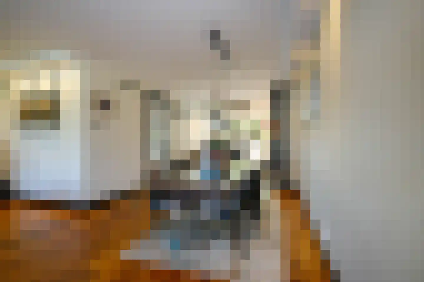 Koningsoever 3 Zevenhuizen thumbnail 19