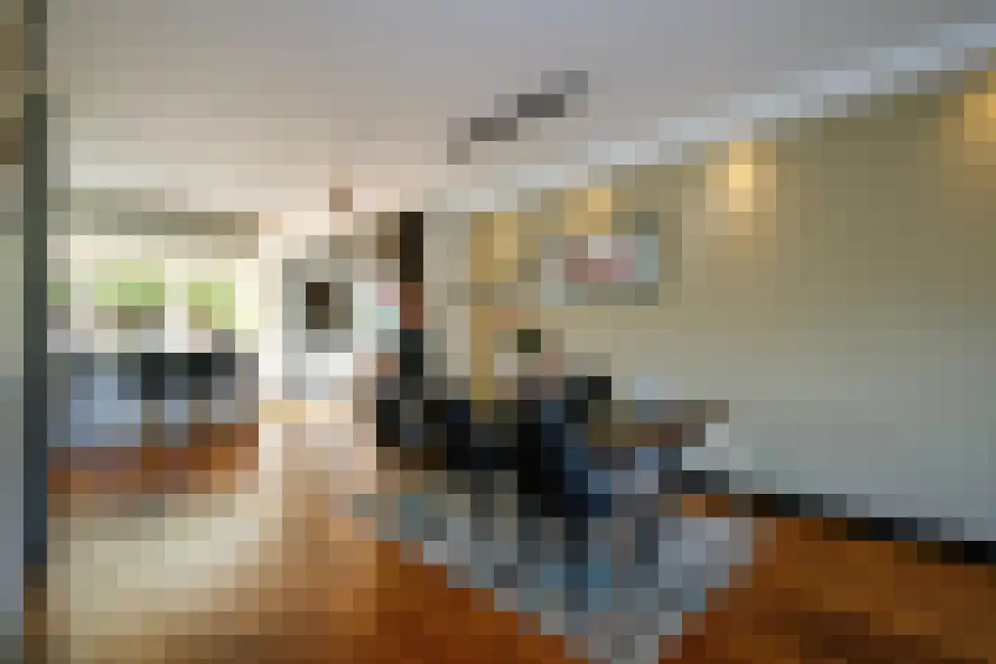 Koningsoever 3 Zevenhuizen thumbnail 20