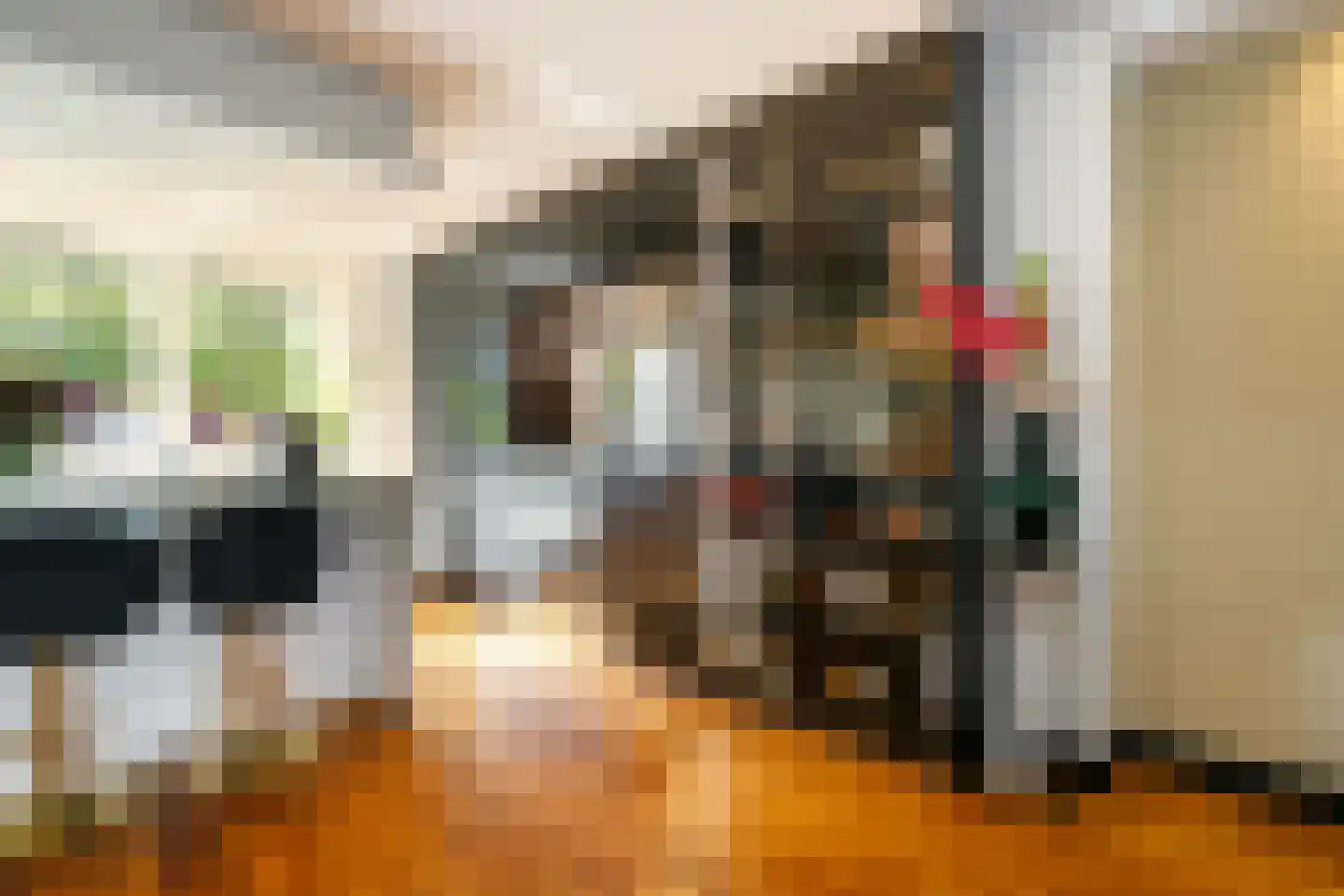 Koningsoever 3 Zevenhuizen thumbnail 21