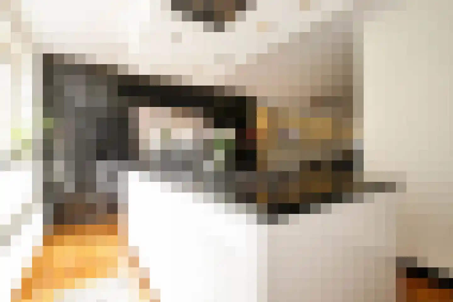 Koningsoever 3 Zevenhuizen thumbnail 22