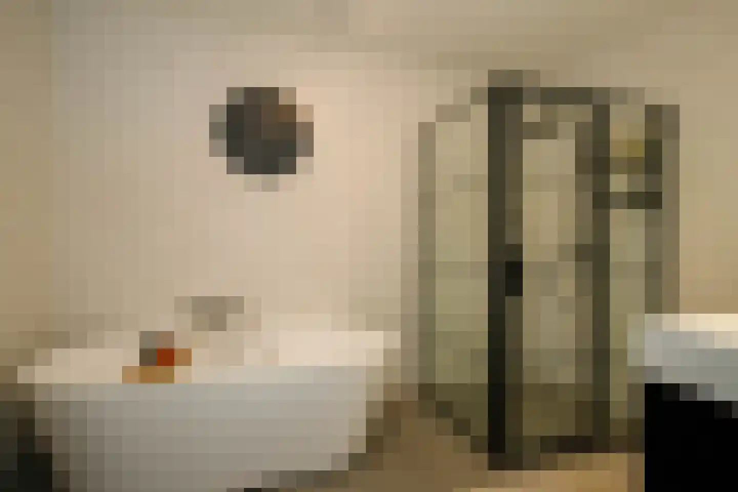 Koningsoever 3 Zevenhuizen thumbnail 27