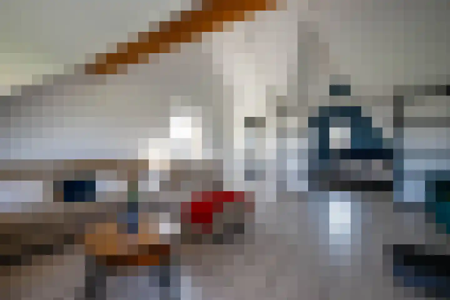 Koningsoever 3 Zevenhuizen thumbnail 32