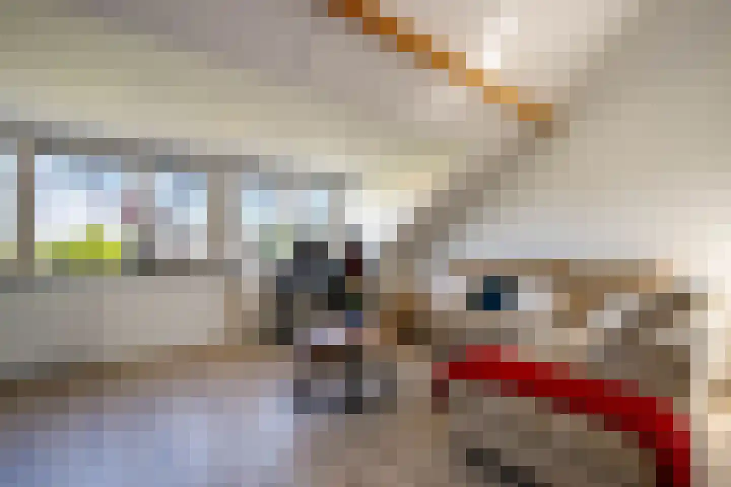 Koningsoever 3 Zevenhuizen thumbnail 36