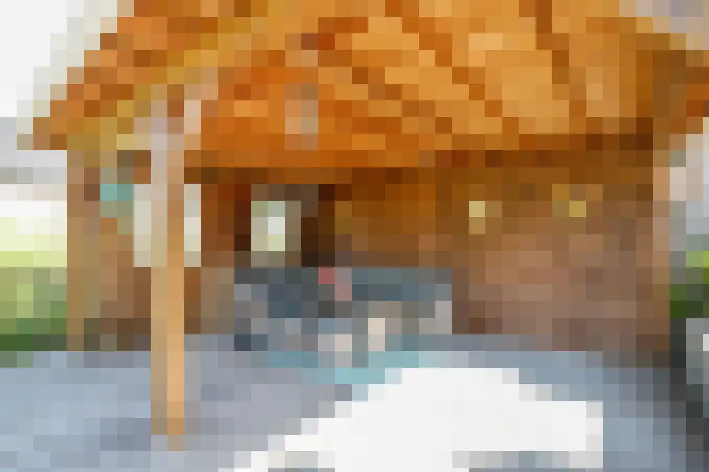Koningsoever 3 Zevenhuizen thumbnail 46