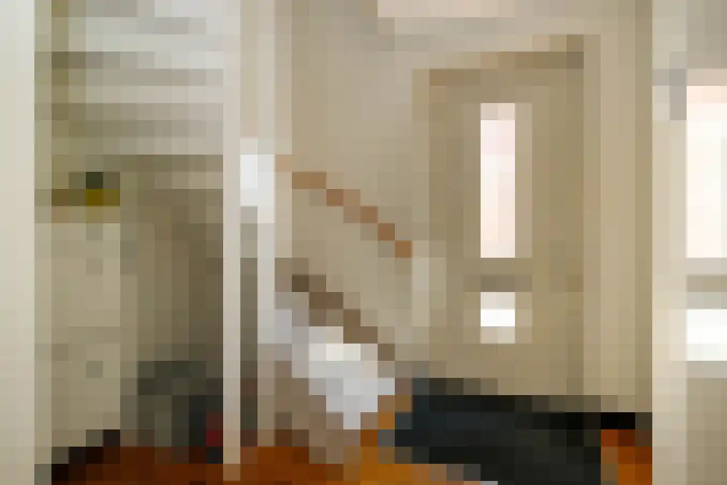 Koningsoever 3 Zevenhuizen thumbnail 6