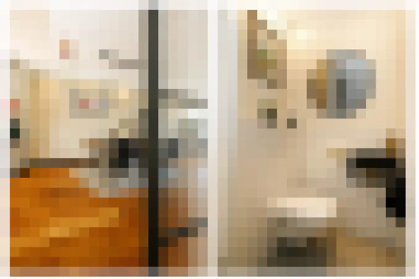 Koningsoever 3 Zevenhuizen thumbnail 7