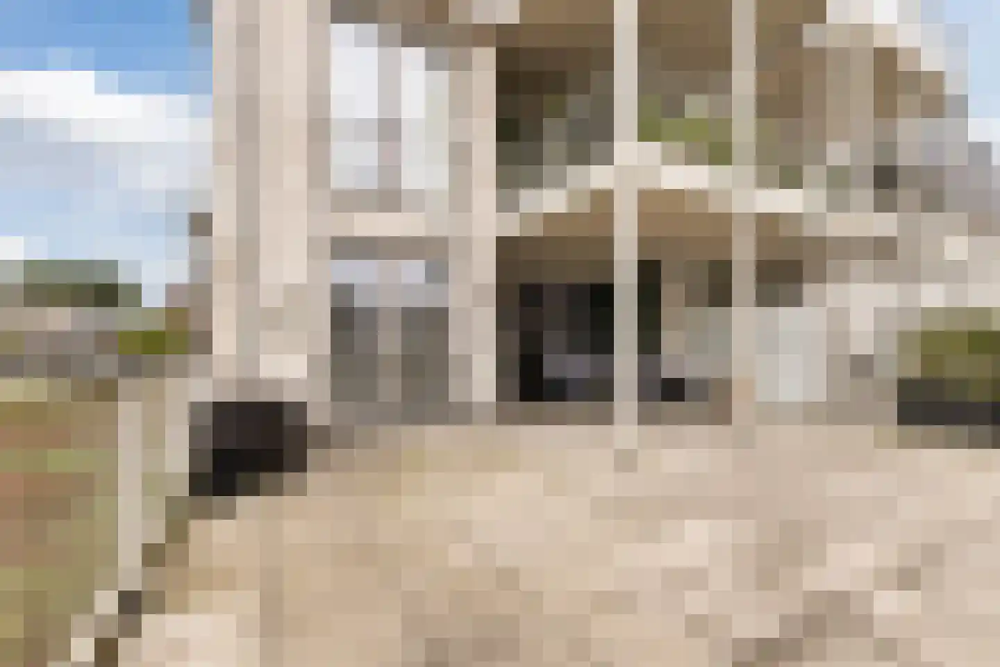 Koningsoord 74 Berkel-Enschot thumbnail 8