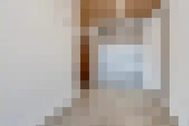 Koningsoordlaan 160 Berkel-Enschot thumbnail 7