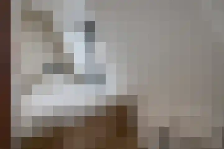 Koningsoordlaan 176 Berkel-Enschot thumbnail 24