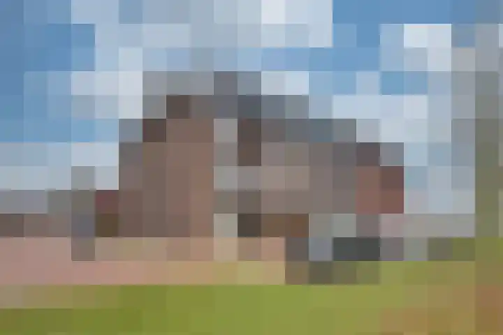 Koningsoordlaan 176 Berkel-Enschot thumbnail 4