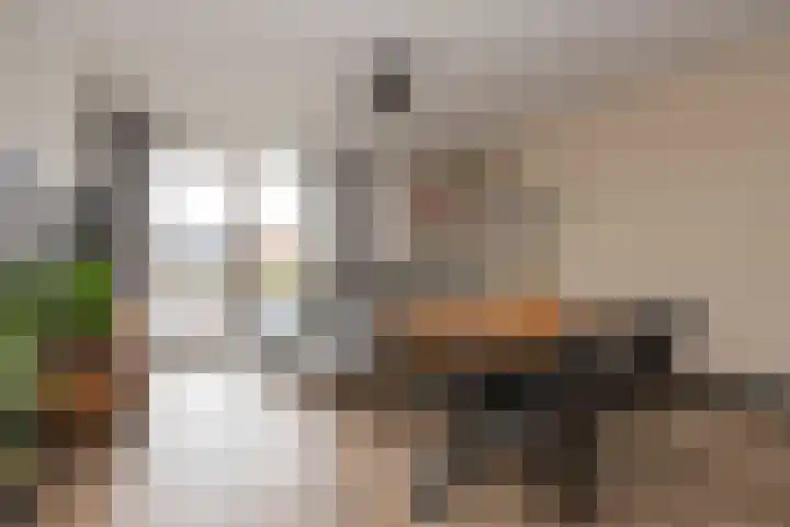 Koningsoordlaan 188 Berkel-Enschot thumbnail 10