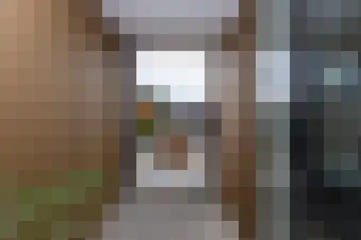 Koningsoordlaan 188 Berkel-Enschot thumbnail 20