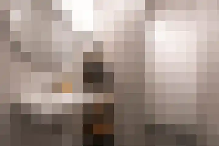 Koningsoordlaan 188 Berkel-Enschot thumbnail 23