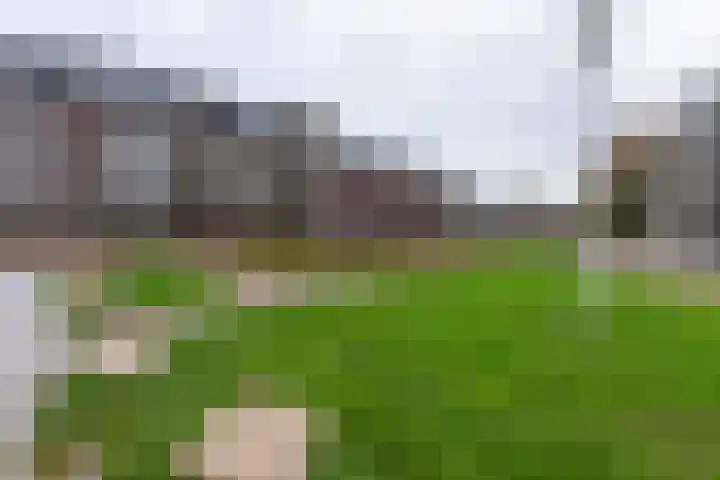 Koningsoordlaan 188 Berkel-Enschot thumbnail 29
