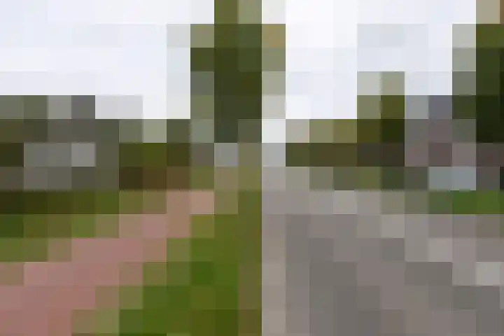 Koningsoordlaan 188 Berkel-Enschot thumbnail 32